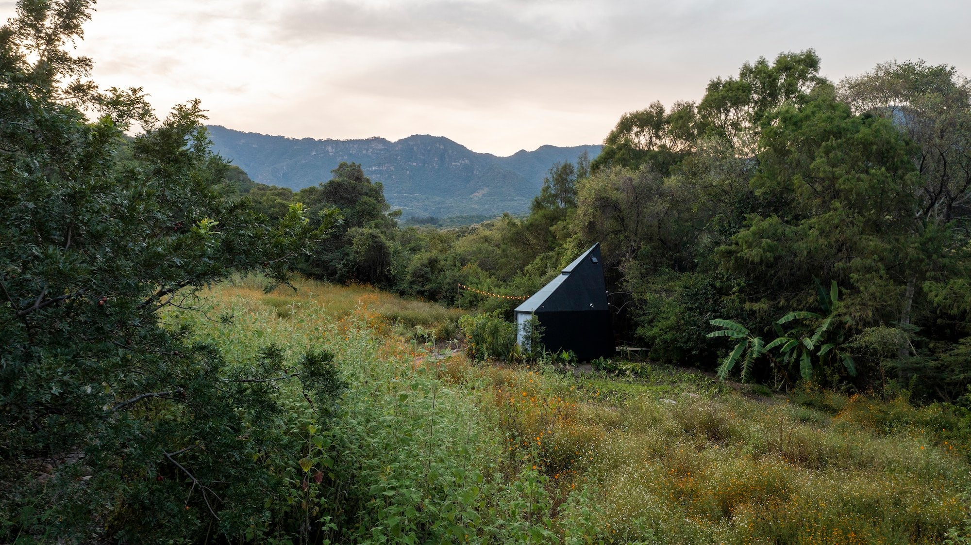 Wander Malinalco Rojkind