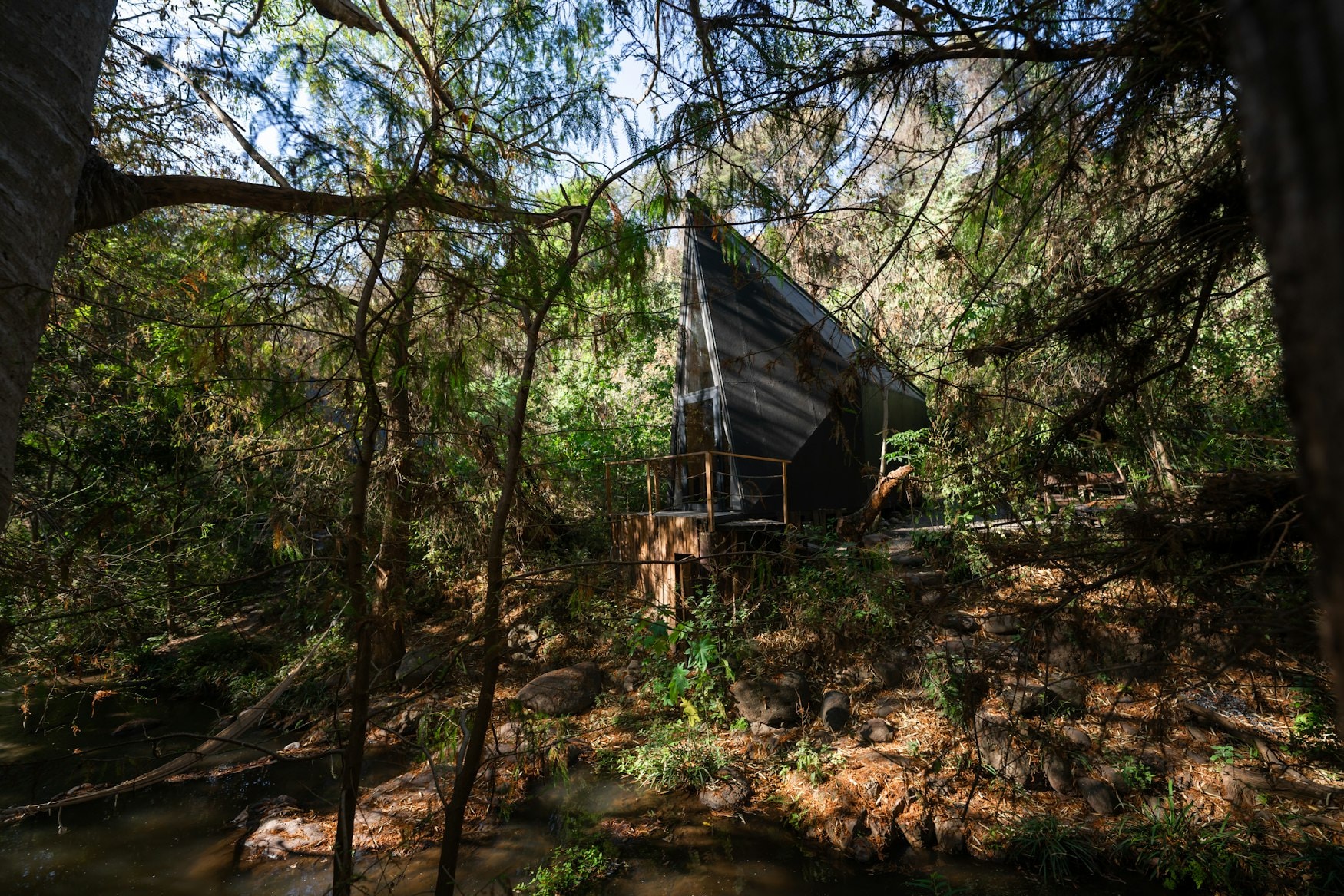 Wander Malinalco Rojkind