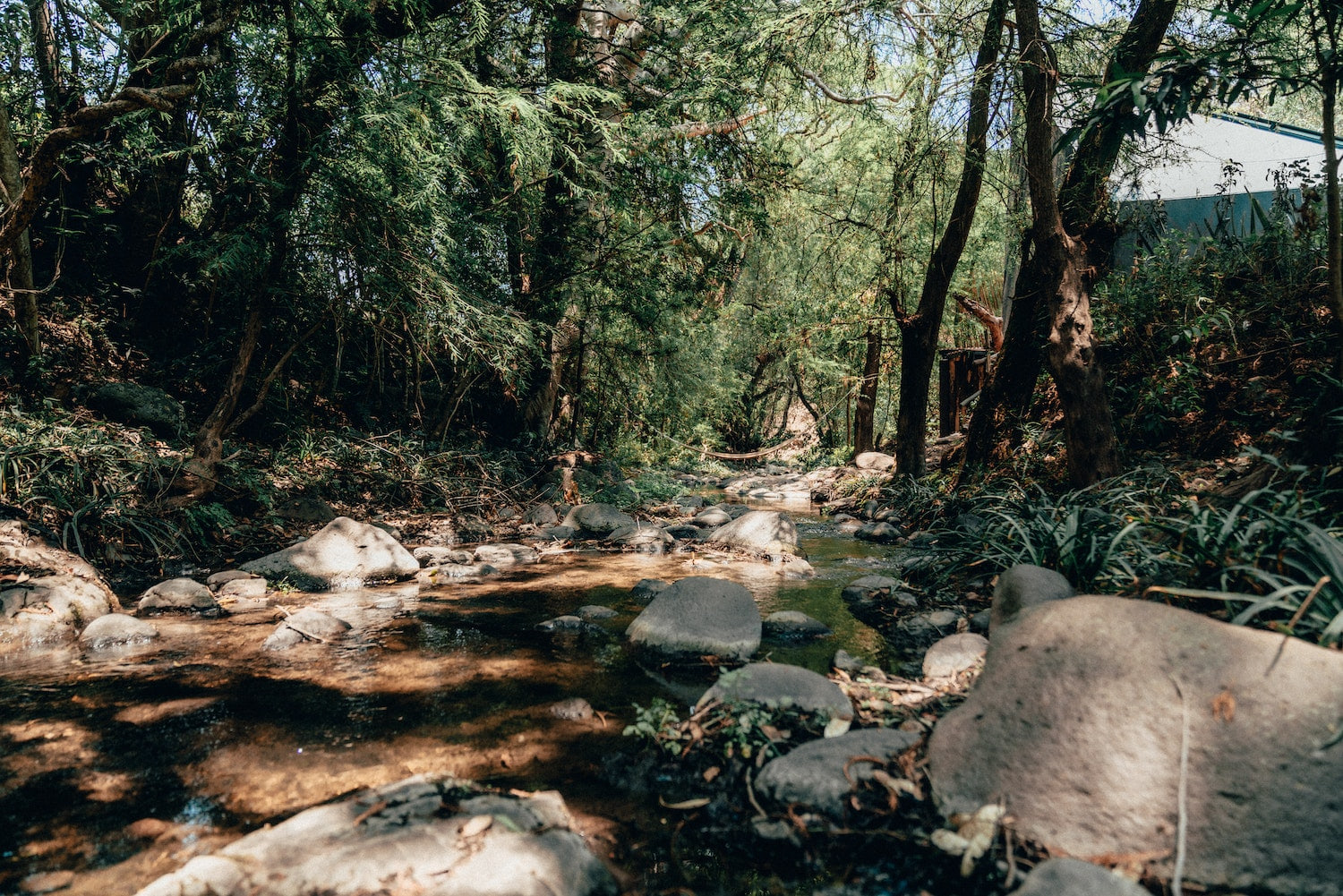 Disfruta del río en las cabañas de Wander Malinalco
