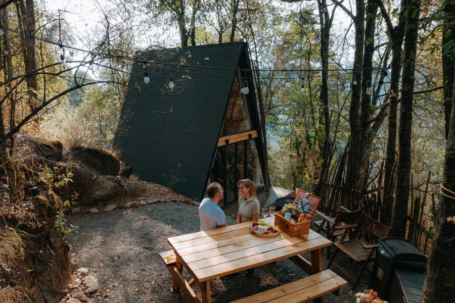 Canasta de picnic con vino y flores en el bosque de La Marquesa