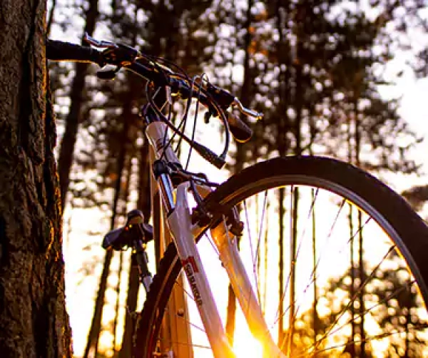 Wandercabins Paseo en bici