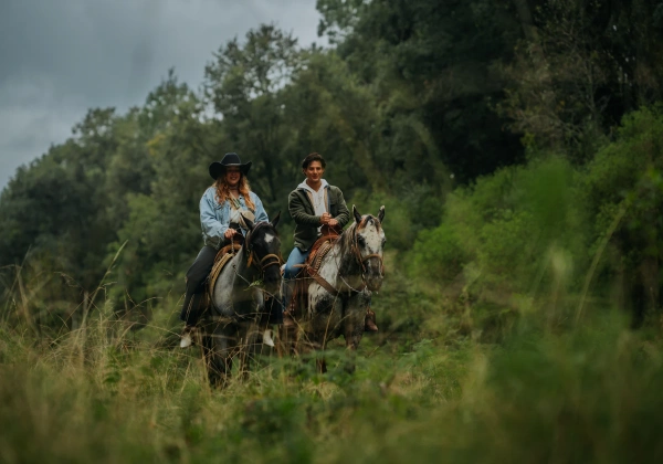 Paseo en Caballo