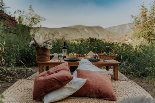 Picnic en la Montaña