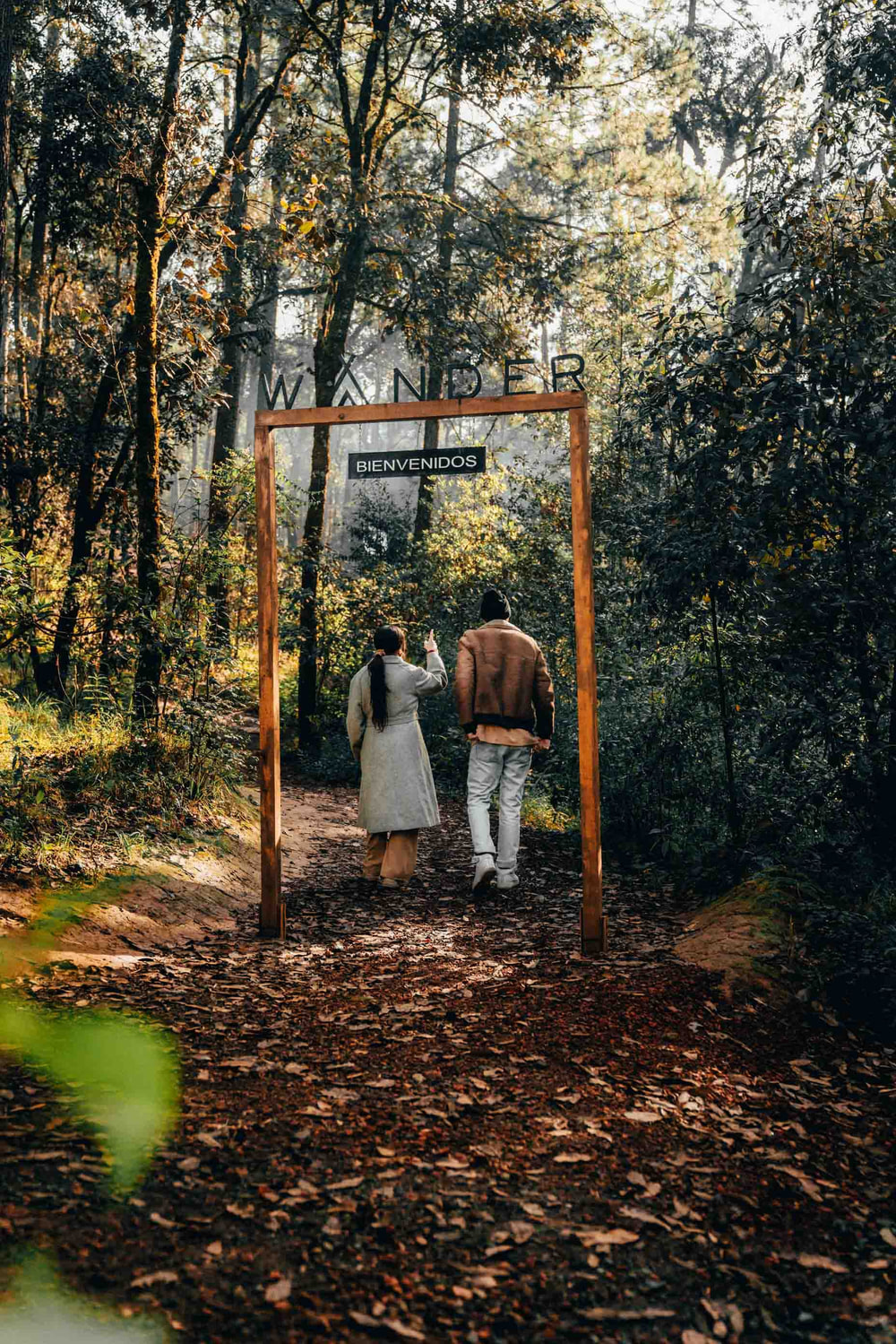 Actividades que puedes realizar en Wander Cabins