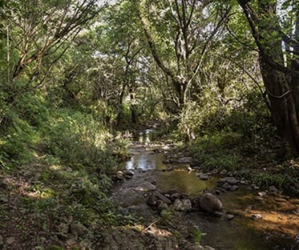 Disfruta de la Naturaleza