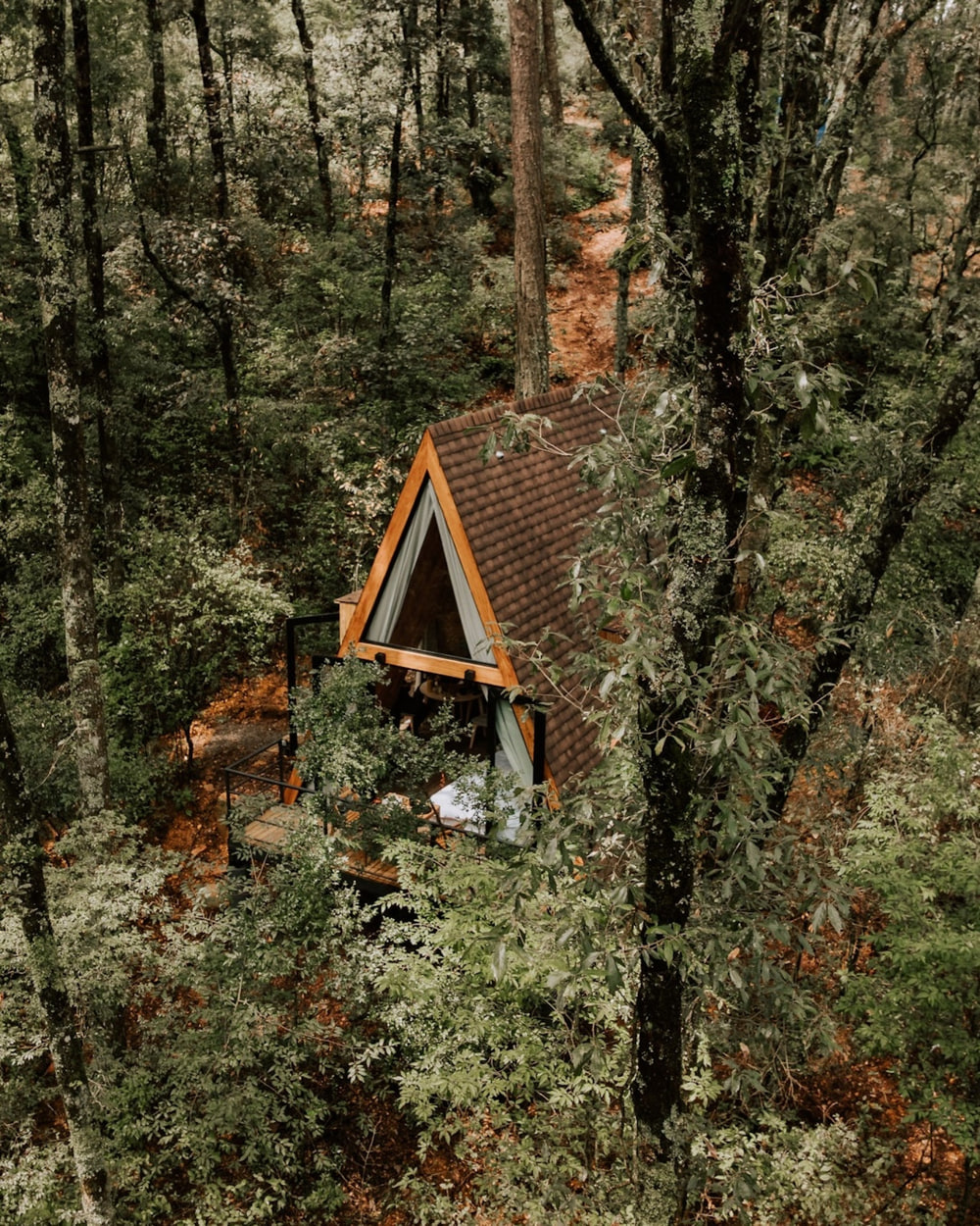 10 razones para desconectarte en una cabaña este otoño