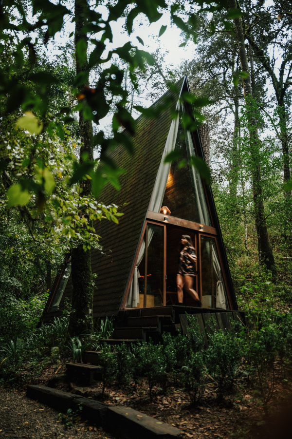 El verano perfecto existe y está en una cabaña en medio del bosque