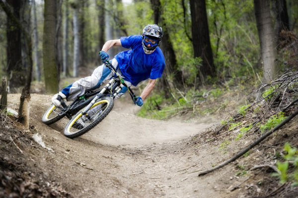 Wandercabins downhill bici