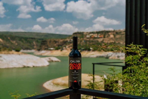 Botella de Vino Calixa Blend