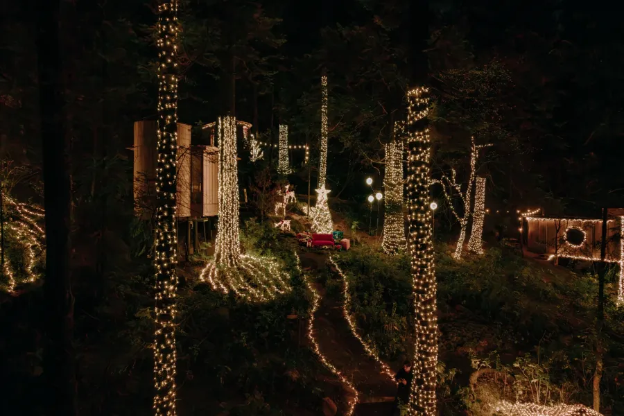 Cabañas de Villa Alpina con luces navideñas entre los pinos de noche