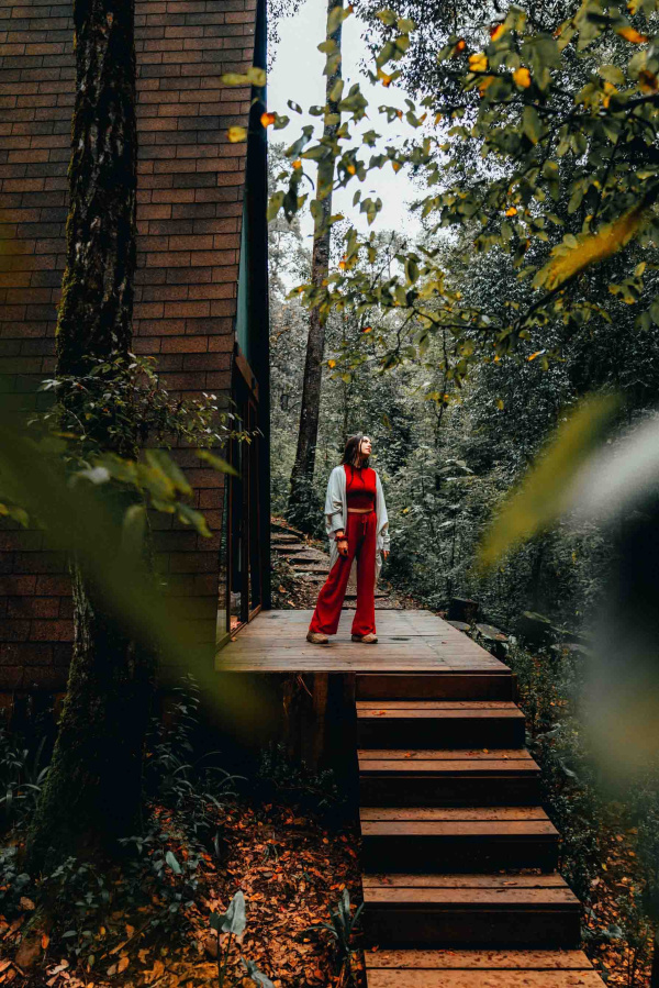 Escapa a una cabaña en la naturaleza