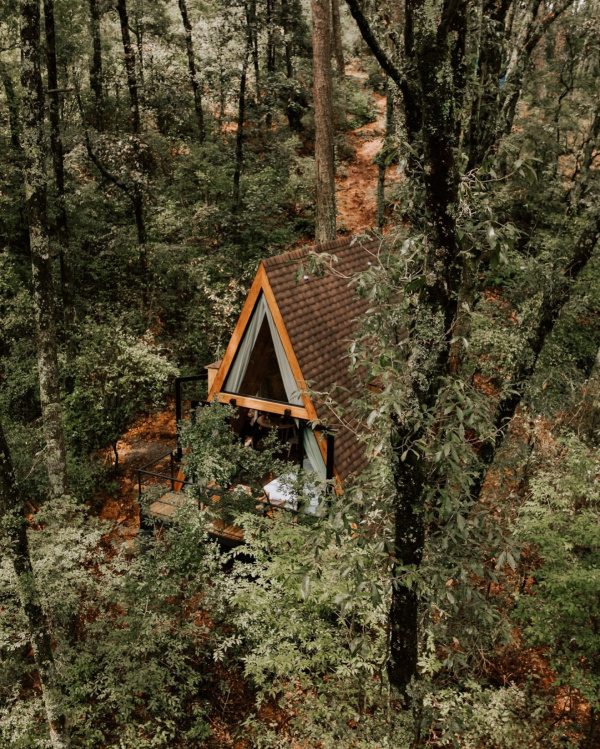 10 razones para desconectarte en una cabaña este otoño